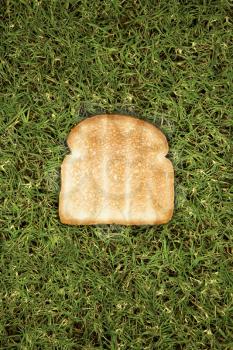 Royalty Free Photo of a Slice of Toast on Grass