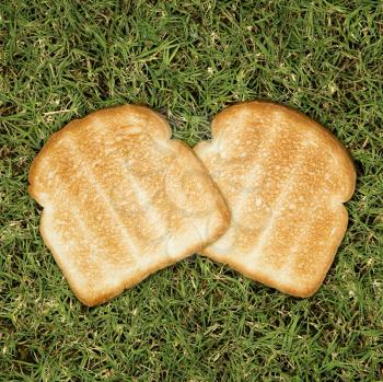 Royalty Free Photo of Two Slices of Toast on Grass