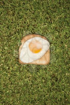 Royalty Free Photo of a Fried Egg on Toast in Grass