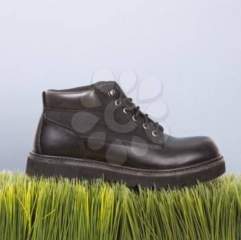 Royalty Free Photo of a Studio Shot of a Black Leather Shoe Resting on the Grass