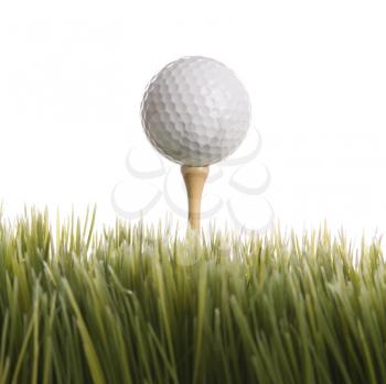 Royalty Free Photo of a Studio Shot of a Golf Ball Resting on a Tee in the Grass