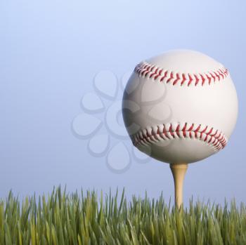 Royalty Free Photo of a Baseball Resting on a Golf Tee in the Grass