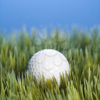 Royalty Free Photo of a Golf Ball Resting in Grass