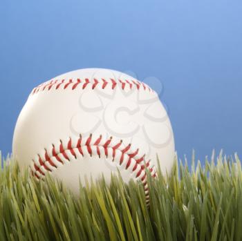 Studio shot of a baseball resting in grass.