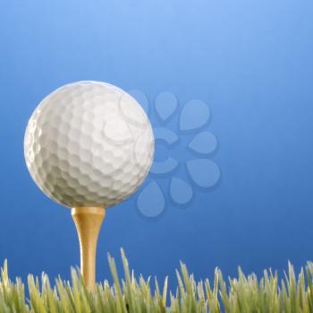 Studio shot of a golfball on a tee in grass.