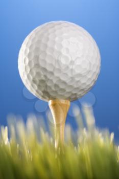 Royalty Free Photo of a Studio Shot of a Golf Ball on a Tee in the Grass