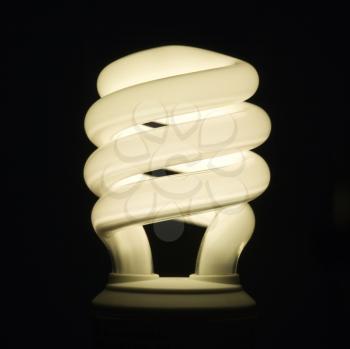Studio shot of illuminated energy saving light bulb.