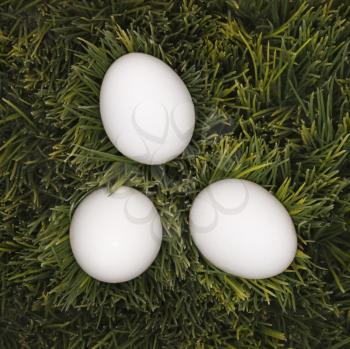 Royalty Free Photo of Eggs on Grass