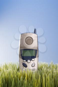 Royalty Free Photo of a Cordless Telephone Placed in Grass