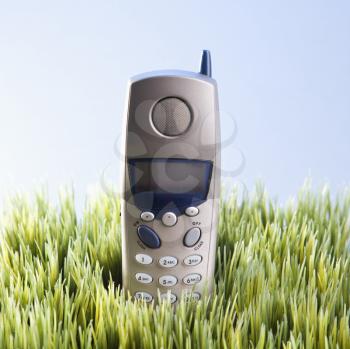 Royalty Free Photo of a Studio Shot of a Cordless Telephone Placed in Grass