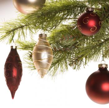Royalty Free Photo of Red and Gold Christmas Ornaments Hanging from a Pine Branch
