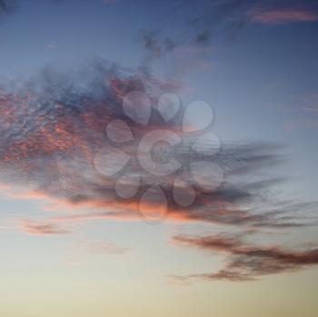 Royalty Free Photo of Wispy Cirrus Clouds at Sunrise