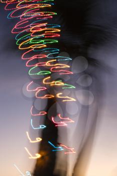 Royalty Free Photo of Colored Lights on a Palm Tree Abstracted by Camera Movement