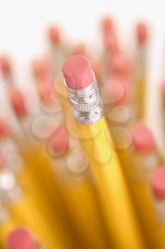 Royalty Free Photo of a Group of Pencils