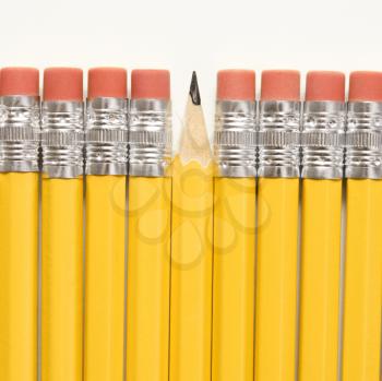 Royalty Free Photo of a Sharp Pencil Raised Above a Row of Pencils With Eraser Ends Up