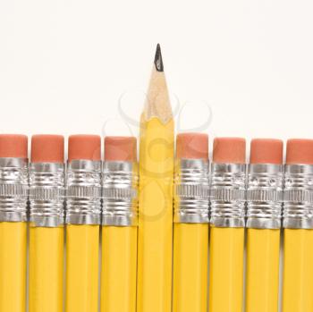 Royalty Free Photo of a Sharp Pencil Raised Above a row of Pencils With Eraser Ends Up