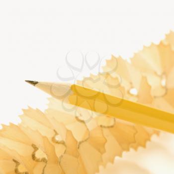 Royalty Free Photo of a Sharp Pencil on Spiral Pencil Shavings