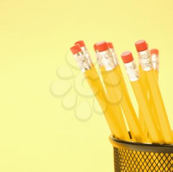 Royalty Free Photo of Pencils in a Pencil Holder