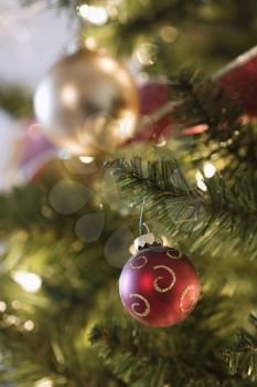 Royalty Free Photo of a Close-Up of Gold and Red Ornaments Hanging in a Christmas Tree