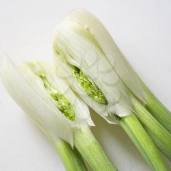 Royalty Free Photo of a Close-up of Stalk and Bulb of Fennel Cut in Half
