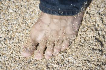 Royalty Free Photo of a Foot on a Sandy Beach