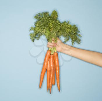 Royalty Free Photo of a Woman Holding Out a Fresh Bunch of Carrots 