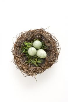 Studio still life of bird's nest with three speckled eggs