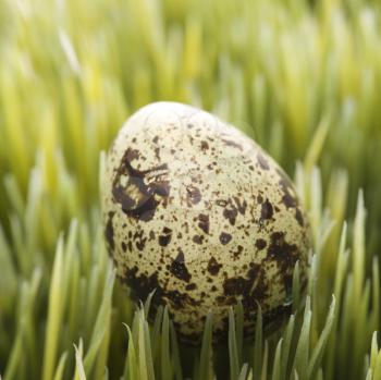 Royalty Free Photo of a Speckled Egg on Grass