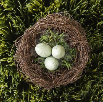 Royalty Free Photo of Speckled Eggs in a Nest on the Grass
