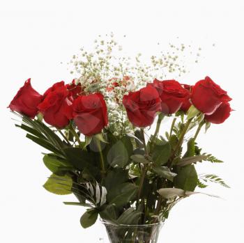 Bouquet of long-stemmed red roses with baby's breath against white background.