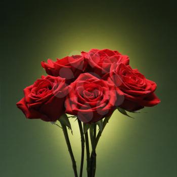 Royalty Free Photo of a Bouquet of Red Roses 