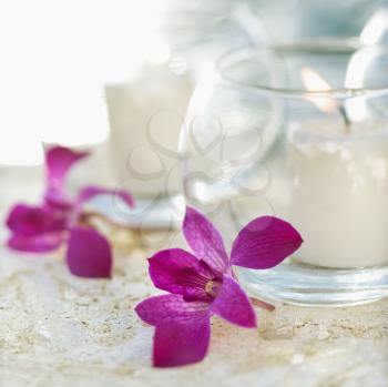 Royalty Free Photo of a Close-up of Candles and Purple Orchids