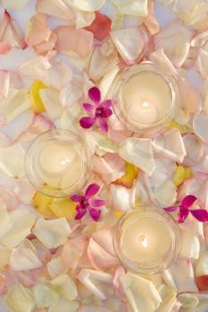 Royalty Free Photo of Lit Candles With Purple Orchids and Rose Petals