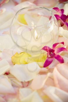Royalty Free Photo of a Lit Candle With Purple Orchids and Rose Petals