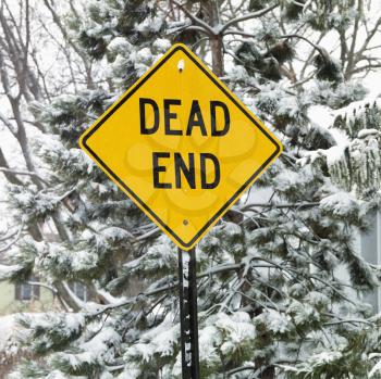 Royalty Free Photo of a Snowy Scene in a Suburb With Evergreen Trees and a Dead End Road Sign