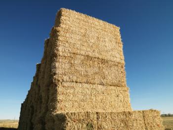 Royalty Free Photo of a Tall Stack of Bales of Hay in a Rural Setting