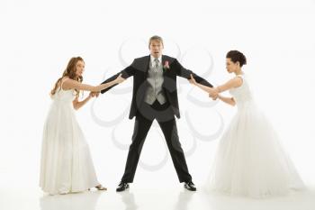 Royalty Free Photo of Brides Pulling on a Groom's Arms