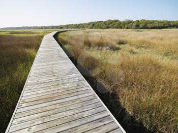 Wooden boardwalk stretching over marsh at Bald Head Island, North Carolina.