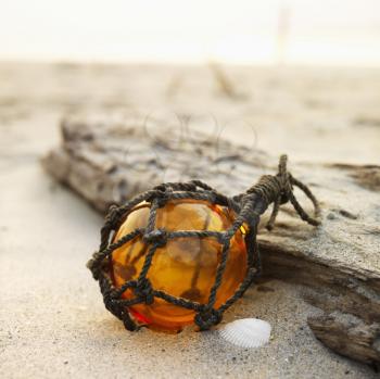 Royalty Free Photo of a Glass Globe Net Float With Driftwood on a Beach