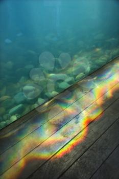 Royalty Free Photo of an Aquarium With a Rainbow Pattern of Light Passing Through Water Onto Wood Paneling