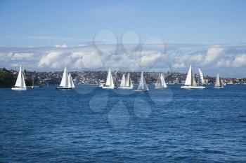 Royalty Free Photo of Sailboats on Water in Sydney, Australia