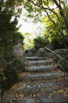 Royalty Free Photo of Stone Stairs in an Outdoor Garden in Sydney, Australia
