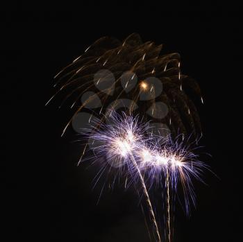 Royalty Free Photo of Colorful Fireworks Exploding in the Night Sky