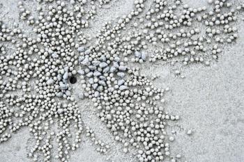 Royalty Free Photo of a Close-Up of Small Pebbles and Hole in the Sand Made by a Crab in Daintree Rainforest, Australia