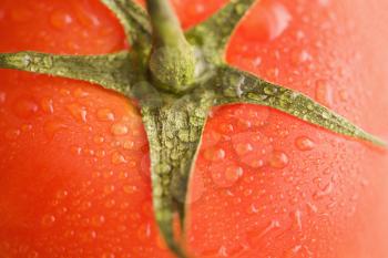 Royalty Free Photo of a Close-up of a Wet Red Ripe Tomato