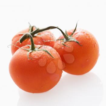Royalty Free Photo of Close-up of Wet Red Ripe Tomatoes