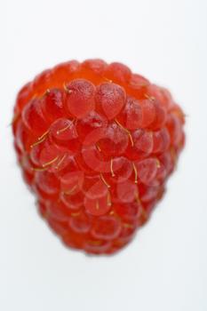 One red raspberry on white background.
