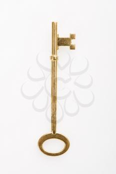 Brass skeleton key.