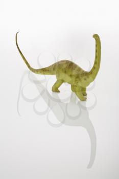 Royalty Free Photo of a Toy Apatosaurus Dinosaur