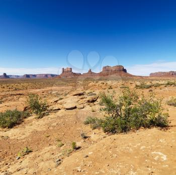 Royalty Free Photo of a Scenic Desert Landscape With Mountains and Foliage
